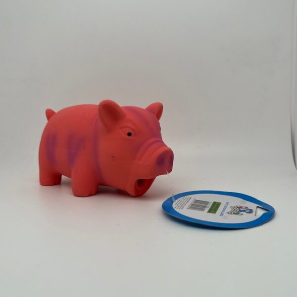 Cochon latex
