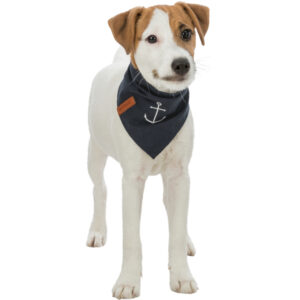 Bandana Be Nordic motif ancre