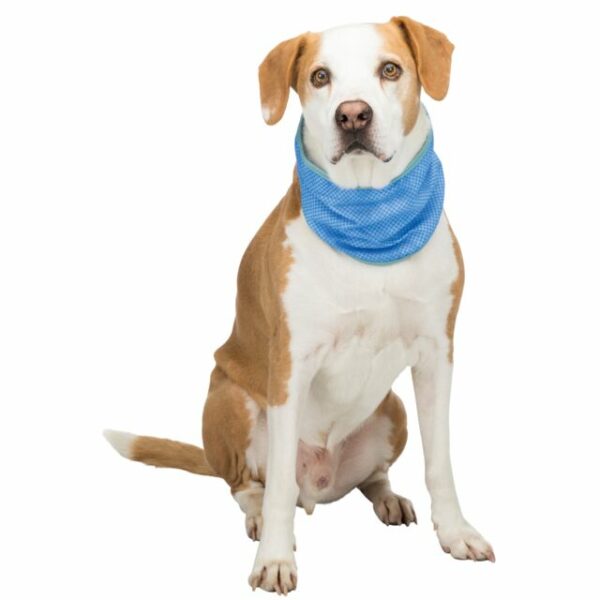 Bandana rafraichissant Trixie – Image 2