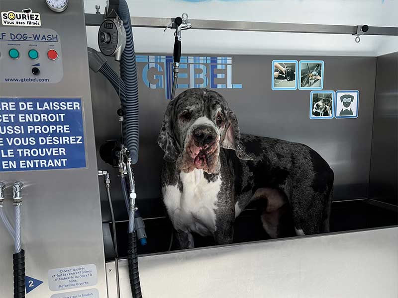 Magasin Instant Animal