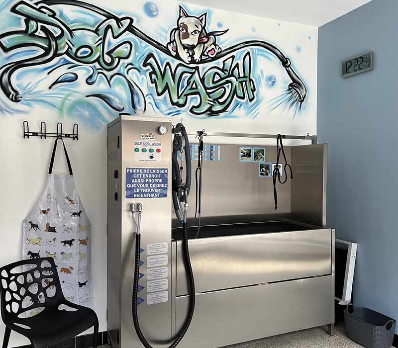dogwash