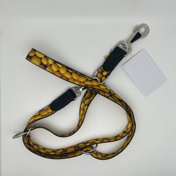 Laisse multi-positions Linky citrons