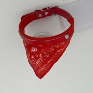 Collier chien bandana classique