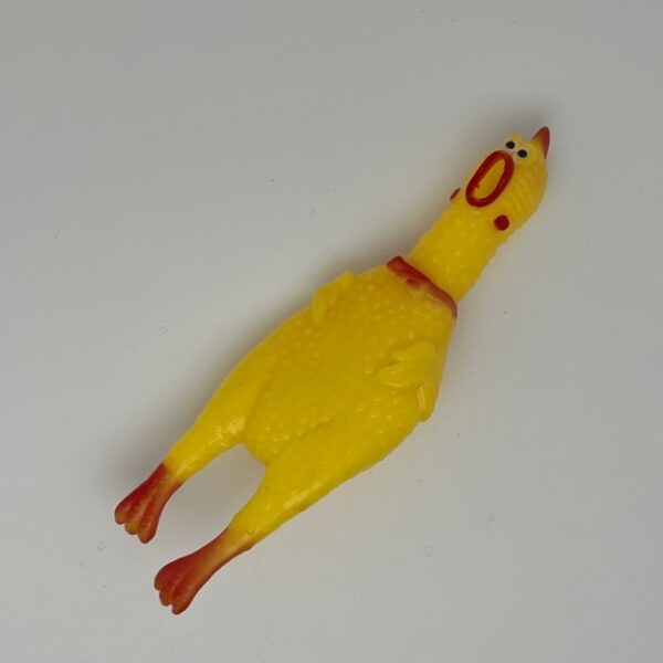 Poulet petit modèle