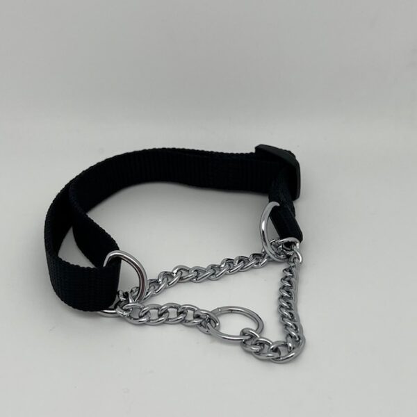 Collier chien semi étrangleur nylon et chaine