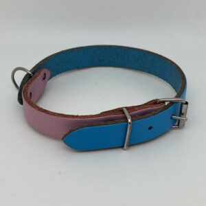 Collier chien cuir bicolore