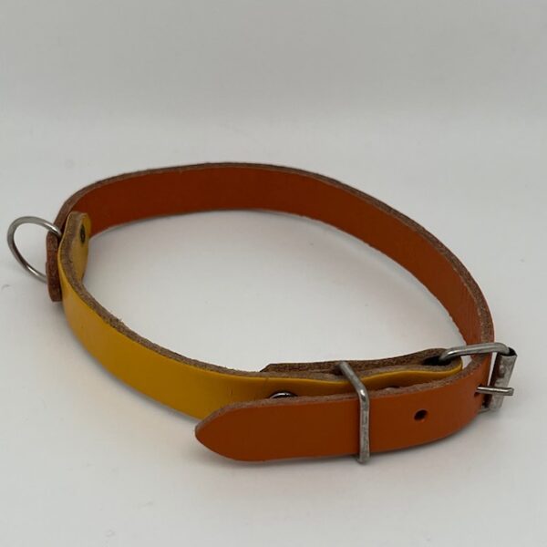 Collier chien cuir bicolore – Image 2