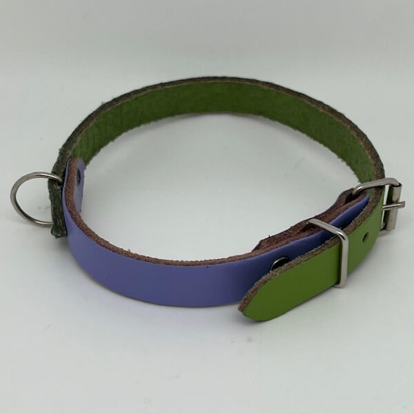 Collier chien cuir bicolore – Image 3