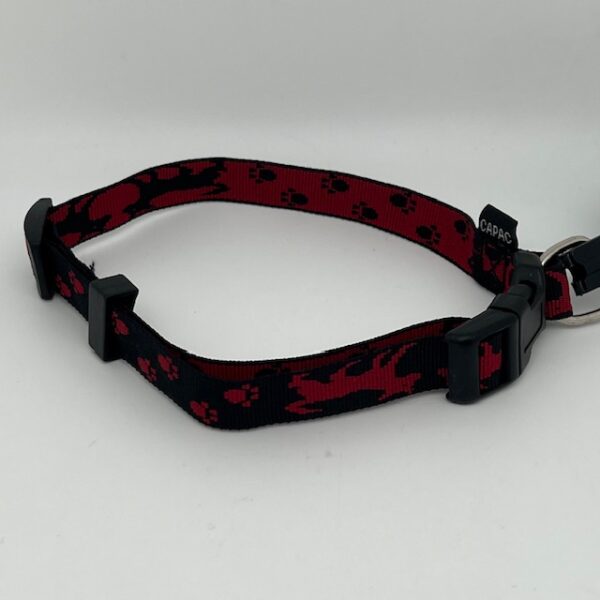 Collier chien Capac nylon motif chien – Image 2