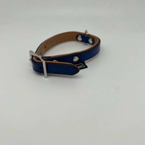 Collier XS Flamingo bleu/beige