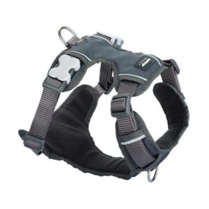 Harnais RedDingo anti traction rembourré