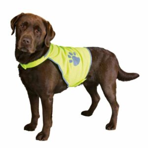 Gilet de sécurité réfléchissant