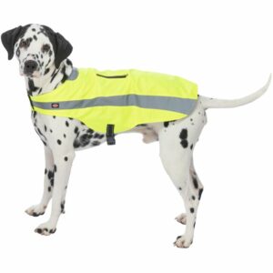 Gilet de sécurité réfléchissant avec boucle
