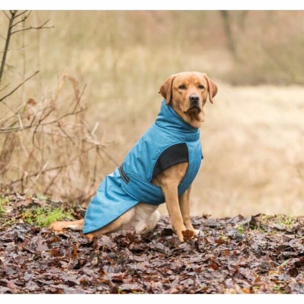 Manteau d'hiver Trixie Riom – Image 4