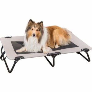 Chaise longue pour chien