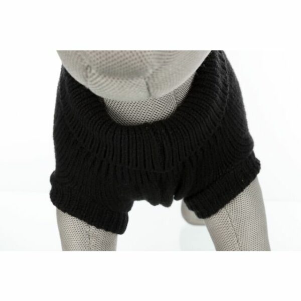Pull chien Trixie Kenton