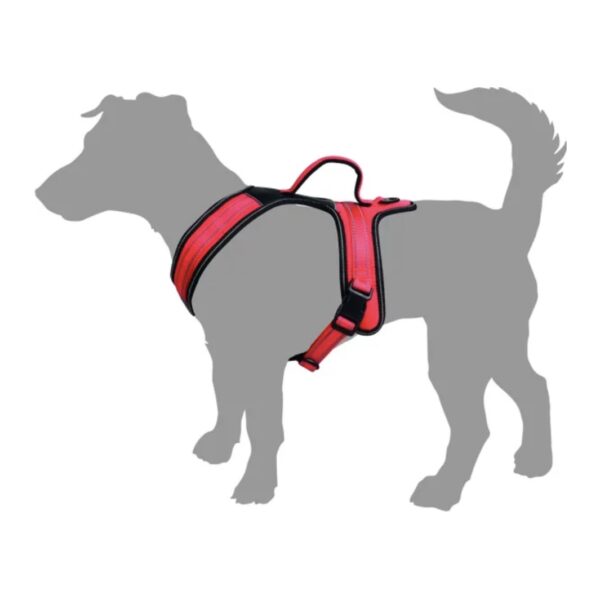 Harnais chien Flamingo Toga – Image 2
