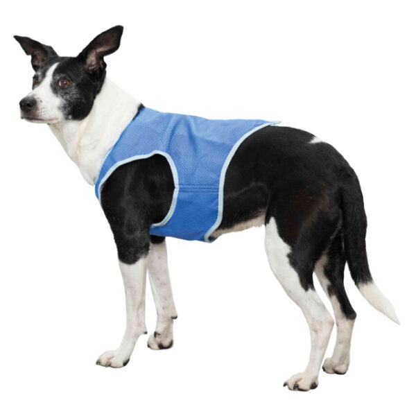 Veste rafraichissante en PVA – Image 2
