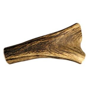 Bois de cerf