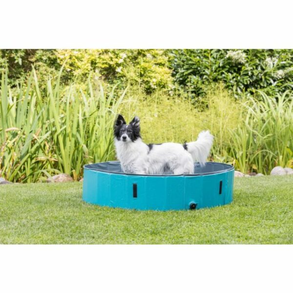Piscine pour chien Trixie – Image 5