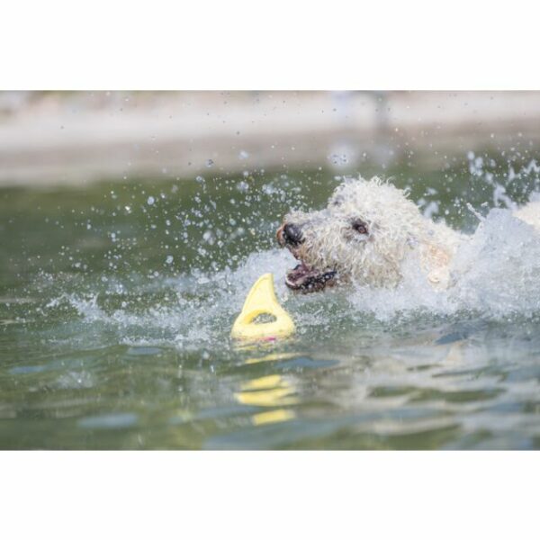 Aqua Toy Aileron de requin – Image 2