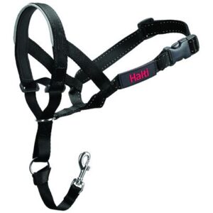 Harnais frontal anti-traction Halti