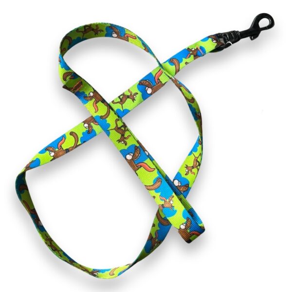 Laisse nylon chien en ballade 1m