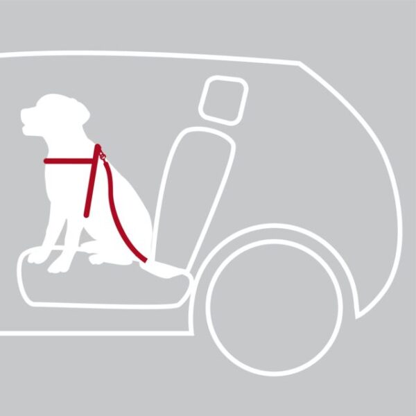 Harnais pour voiture avec laisse de sécurité – Image 2