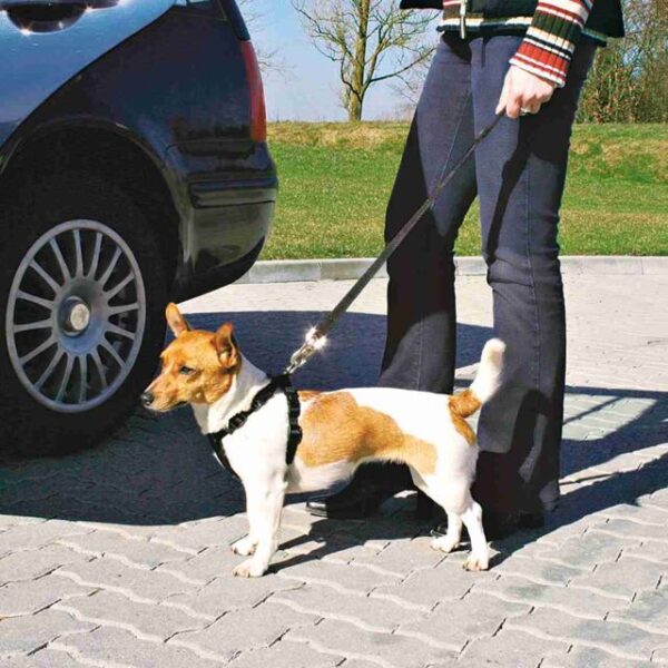 Harnais pour voiture avec laisse de sécurité – Image 5