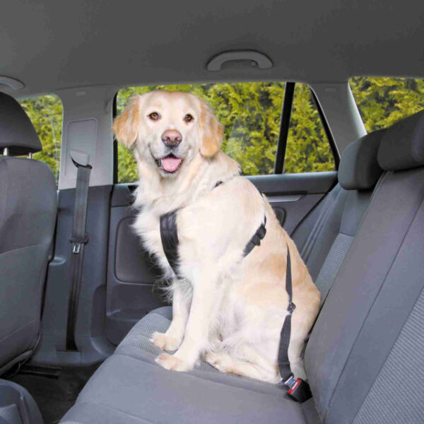 Harnais pour voiture avec laisse de sécurité – Image 6