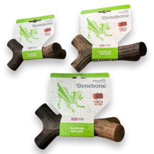 Benebone - Maplestick - Bois d'érable