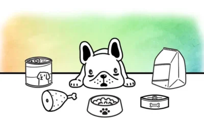 La transition alimentaire chez le chien