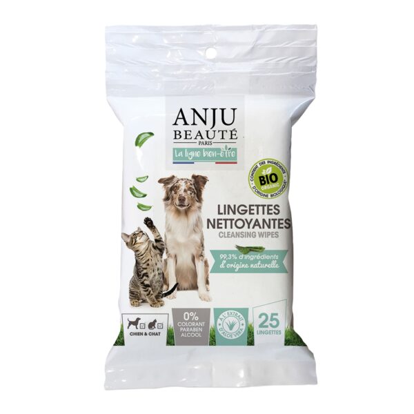 Lingettes nettoyantes Ecosoin Bio