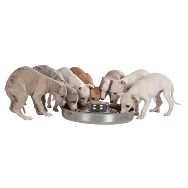 Gamelle pour chiots 38cm – Image 2