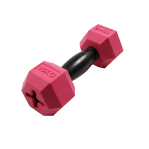 Haltère pour chien BiteMe For the gainz