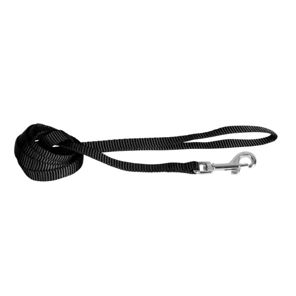 Laisse nylon essentiel 1m20