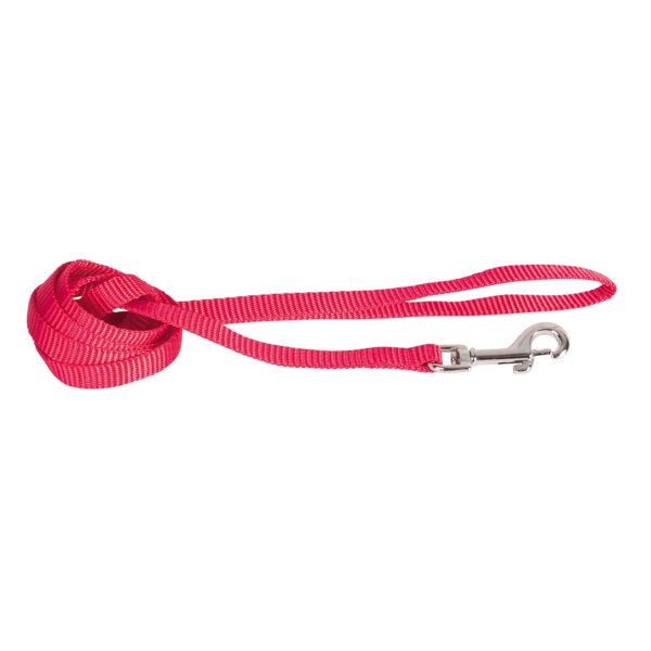Laisse nylon essentiel 1m20 – Image 2