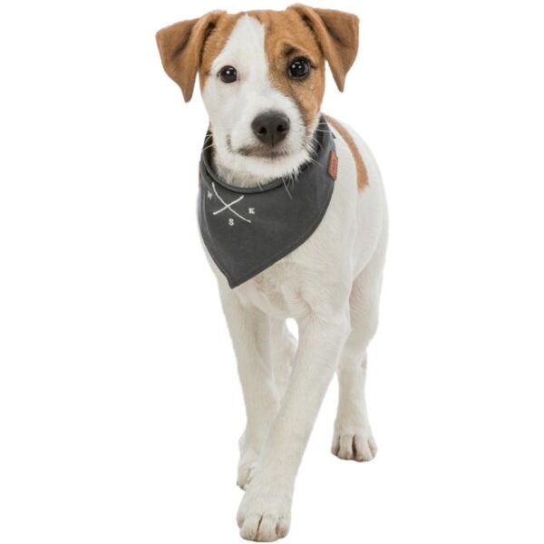 Bandana Be Nordic motif rose des vents – Image 2