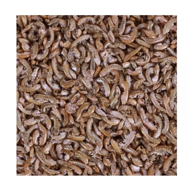 Gammarus pour tortues 250ml – Image 2