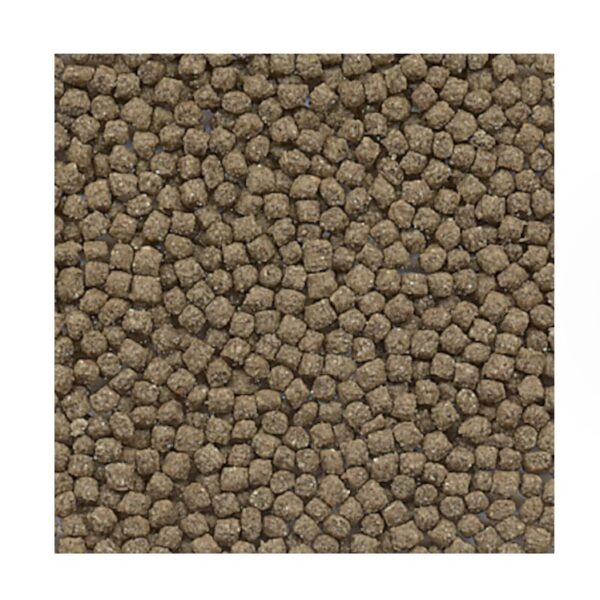 Aliments poissons rouges granulés 250ml – Image 2