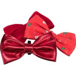 Noeud papillon de nöel