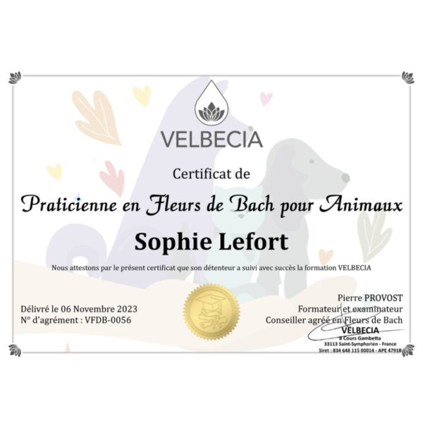 Fleurs de Bach Velbecia – Image 13