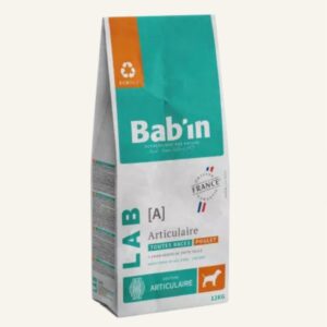 BAB'IN Chien Lab Adulte Articulaire