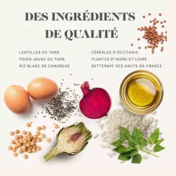 BAB'IN Chien Lab Adulte Hypoallergénique – Image 2