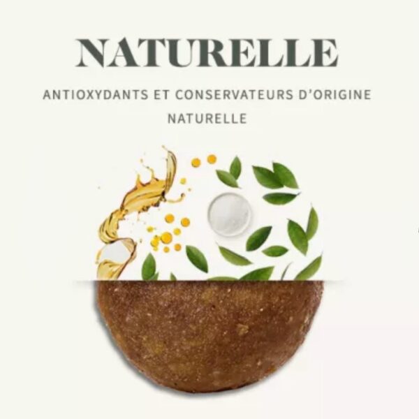 BAB'IN Chien Lab Adulte Hypoallergénique – Image 3