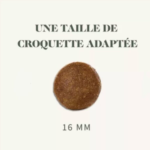 BAB'IN Chien Lab Adulte Hypoallergénique – Image 4