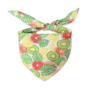 Bandana chien fruits