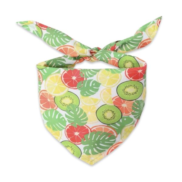 Bandana chien fruits