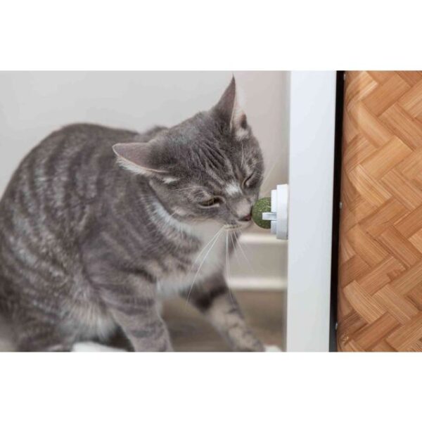 Balle d'herbe à chat avec support – Image 2