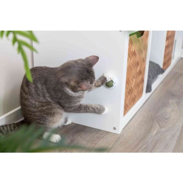 Balle d'herbe à chat avec support – Image 3